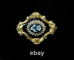 Antique Gold Hardstone Cameo Seed Pearl Black Enamel Mourning Brooch Pin C. 1839