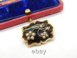 Forget Me Not Seed Pearl Black Enamel Mourning Hair 15ct Gold Brooch Antique