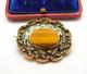 Victorian 9ct Gold, Floral Black Enamel & Tiger's Eye Brooch Antique C1880